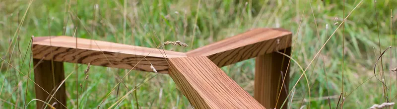 Zebranopuinen penkki heinikossa, jiiriliitokset ja juovainen syykuvio lähikuvassa